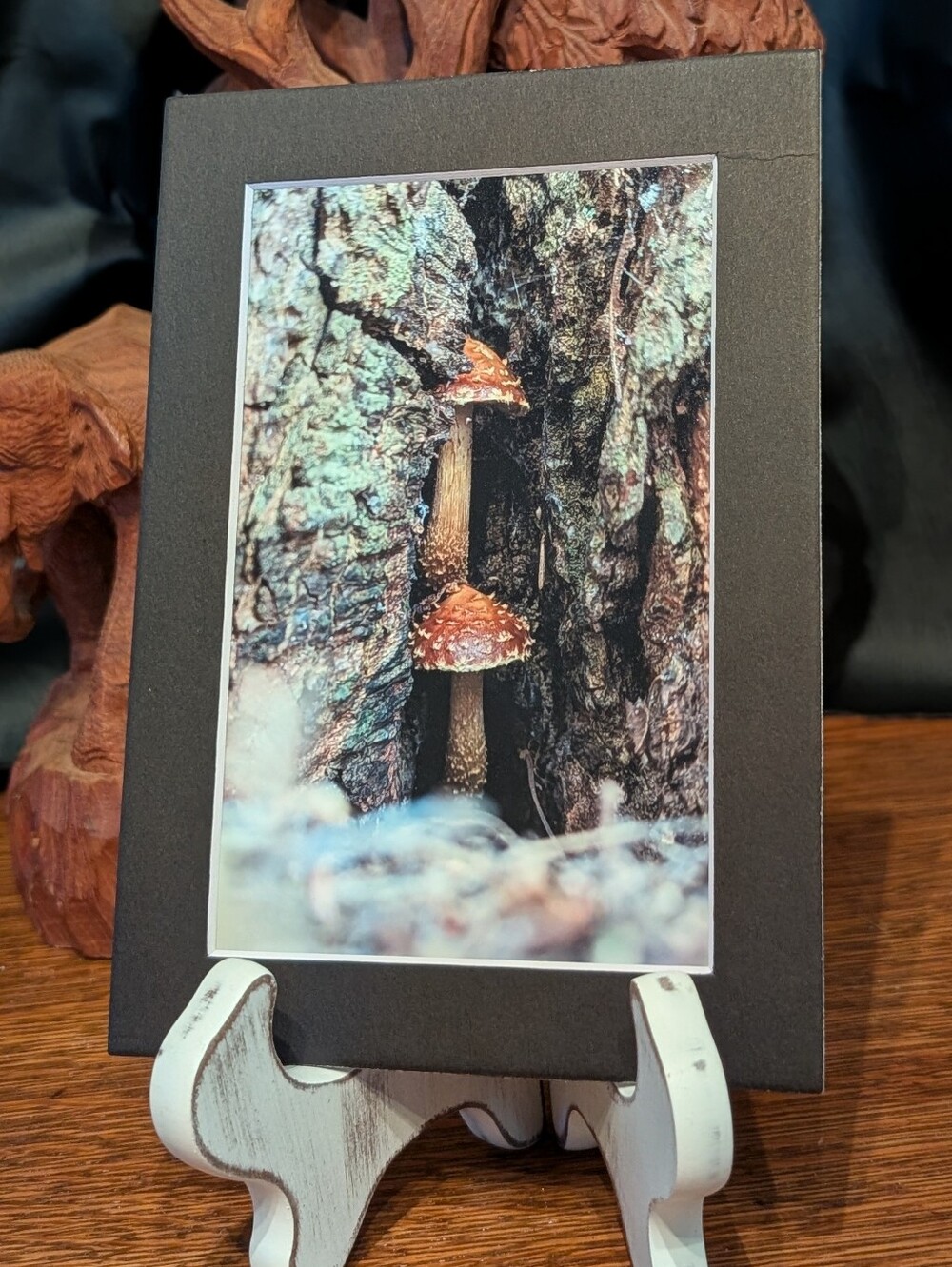 Original Photography Mushroom Love 5x7 Black Matted Print